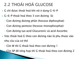  G chỉ được thoái hoá khi nó ở dạng G-6-P
 G-6-P thoái hoá theo 3 con đường là:
◦ Con đường đường phân (hexose diphosphat)
◦ Con đường pentose (hexose monophosphat)
◦ Con đường tạo acid Glucuronic và acid Ascorbic
 Việc thoái hoá G theo con đường nào là phụ thuộc vào
nhu cầu của cơ thể
◦ Cần W thì G thoái hoá theo con đường 1
◦ Cần SP để tổng hợp thì G thoái hoá theo con đường 2
 