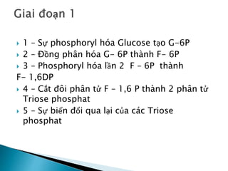  1 – Sự phosphoryl hóa Glucose tạo G-6P
 2 – Đồng phân hóa G- 6P thành F- 6P
 3 – Phosphoryl hóa lần 2 F – 6P thành
F- 1,6DP
 4 – Cắt đôi phân tử F – 1,6 P thành 2 phân tử
Triose phosphat
 5 – Sự biến đổi qua lại của các Triose
phosphat
 