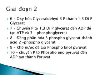  6 – Oxy hóa Glyceraldehyd 3 P thành 1,3 Di P
Glycerat
 7 – Chuyển P từ 1,3 Di P glycerat đến ADP để
tạo ATP và 3 – phosphoglycerat
 8 – Đồng phân hóa 3 phospho glycerat thành
acid 2 –phospho glycerat
 9 – Khử nước để tạo Phospho Enol pyruvat
 10 – chuyển P từ Phospho enolpyruvat đến
ADP tạo thành Pyruvat
 