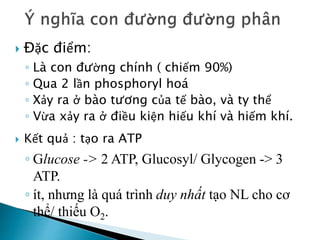  Đặc điểm:
◦ Là con đường chính ( chiếm 90%)
◦ Qua 2 lần phosphoryl hoá
◦ Xảy ra ở bào tương của tế bào, và ty thể
◦ Vừa xảy ra ở điều kiện hiếu khí và hiếm khí.
 Kết quả : tạo ra ATP
◦ Glucose -> 2 ATP, Glucosyl/ Glycogen -> 3
ATP.
◦ ít, nhưng là quá trình duy nhất tạo NL cho cơ
thể/ thiếu O2.
 
