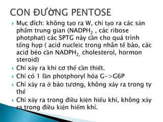  Mục đích: không tạo ra W, chỉ tạo ra các sản
phẩm trung gian (NADPH2 , các ribose
photphat) các SPTG này cần cho quá trình
tổng hợp ( acid nucleic trong nhân tế bào, các
acid béo cần NADPH2, cholesterol, hormon
steroid)
 Chỉ xảy ra khi cơ thể cần thiết.
 Chỉ có 1 lần photphoryl hóa G->G6P
 Chỉ xảy ra ở bào tương, không xảy ra trong ty
thể
 Chỉ xảy ra trong điều kiện hiếu khí, không xảy
ra trong điều kiện hiếm khí.
 