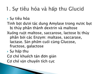  Sự tiêu hóa
Tinh bột dưới tác dung Amylase trong nước bọt
bị thủy phân thành dextrin và maltose
Xuống ruột maltose, saccarose, lactose bị thủy
phân bởi các Enzym: maltase, saccarase,
lactase. Sản phẩm cuối cùng Glucose,
fructose, galactose
 Sự hấp thu
Cơ chế khuếch tán đơn giản
Cơ chế vận chuyển tích cực
 