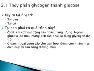  Xảy ra tại 2 vị trí:
◦ Tại gan
◦ Tại cơ
 Tại sao phải có quá trình này?
◦ Ở cơ: khi cơ hoạt động cần nhiều năng lượng. Ngoài
glucose do máu mang đến cần phải sử dụng glycogen dự
trữ.
◦ Ở gan: ngoài cung cấp cho gan hoạt động còn nhằm mục
đích duy trì cân bằng đường máu.
 
