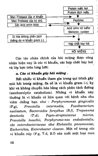 Chuyên đề  bệnh răng, hàm, mặt part 1