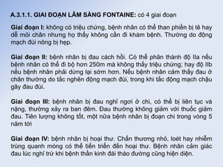 A.3.1.1. GIAI ĐOẠN LÂM SÀNG FONTAINE: có 4 giai đoạn
Giai đoạn I: không có triệu chứng, bệnh nhân có thể than phiền bị tê hay
dễ mỏi chân nhưng họ thấy không cần đi khám bệnh. Thường do động
mạch đùi nông bị hẹp.
Giai đoạn II: bệnh nhân bị đau cách hồi. Có thể phân thành độ IIa nếu
bệnh nhân có thể đi bộ hơn 250m mà không thấy triệu chứng; hay độ IIb
nếu bệnh nhân phải dừng lại sớm hơn. Nếu bệnh nhân cảm thấy đau ở
chân thường do tắc nghẽn động mạch đùi, trong khi tắc động mạch chậu
gây đau đùi.
Giai đoạn III: bệnh nhân bị đau nghỉ ngơi ở chi, có thể bị liên tục và
nặng, thường xảy ra ban đêm. Đau thường không giảm với thuốc giảm
đau. Tiên lượng không tốt, một nữa bệnh nhân bị đoạn chi trong vòng 5
năm tới
Giai đoạn IV: bệnh nhân bị hoại thư. Chấn thương nhỏ, loét hay nhiễm
trùng quanh móng có thể tiến triển đến hoại thư. Bệnh nhân cảm giác
đau lúc nghỉ trừ khi bệnh thần kinh đái tháo đường cũng hiện diện.
 