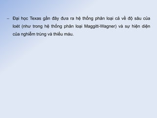  Đại học Texas gần đây đưa ra hệ thống phân loại cả về độ sâu của
loét (như trong hệ thống phân loại Maggitt-Wagner) và sự hiện diện
của nghiễm trùng và thiếu máu.
 