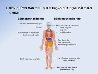 II. BIẾN CHỨNG MÃN TÍNH QUAN TRỌNG CỦA BỆNH ĐÁI THÁO
ĐƯỜNG
Cơn thiếu máu não thoáng qua
Đột quỵ
Tuần hoàn tim và mạch vành
(bệnh tim mạch vành)
Bệnh mạch máu ngoại biên
Bệnh mạch máu lớn
Bệnh võng mạc đái tháo đường
- không tăng sinh
- tăng sinh
- phù điểm vàng
Tiểu đạm vi thể
Tiểu đạm đại thể
Bệnh thận giai đoạn cuối
Hệ thống thần kinh ngoại biên
(bệnh thần kinh)
Bàn chân đái tháo đường
(loét và đoạn chi)
Bệnh mạch máu nhỏ
 