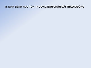 III. SINH BỆNH HỌC TỔN THƯƠNG BÀN CHÂN ĐÁI THÁO ĐƯỜNG
 