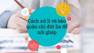 Cách xử lí và bảo
quản chi đứt lìa để
nối ghép
 