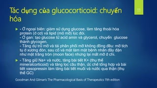 Tác dụng của glucocorticoid: chuyển
hóa
 - Ở ngoại biên: giảm sử dụng glucose, làm tăng thoái hóa
protein (ở cơ) và lipid (mô mỡ) lúc đói.
- Ở gan: tạo glucose từ acid amin và glycerol, chuyển glucose
thành glycogen.
- Tăng dự trữ mỡ và tái phân phối mỡ không đồng đều: mỡ tích
tụ ở xương đòn, sau cổ và mặt làm mặt bệnh nhân đầy đặn
như mặt trăng tròn (moon face) nhưng lại mất mỡ ở chi.
 - Tăng giữ Na+ và nước, tăng bài tiết K+ (thụ thể
mineralcorticoid) và tăng lọc cầu thận, ức chế tổng hợp và bài
tiết vasopressin làm tăng bài tiết muối và nước qua thận (thụ
thể GC)
Goodman And Gilman's The Pharmacological Basis of Therapeutics 11th edition
11
 