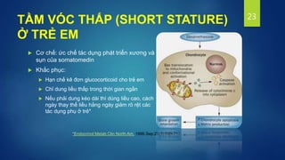 TẦM VÓC THẤP (SHORT STATURE)
Ở TRẺ EM
 Cơ chế: ức chế tác dụng phát triển xương và
sụn của somatomedin
 Khắc phục:
 Hạn chế kê đơn glucocorticoid cho trẻ em
 Chỉ dung liều thấp trong thời gian ngắn
 Nếu phải dung kéo dài thì dùng liều cao, cách
ngày thay thế liều hằng ngày giảm rõ rệt các
tác dụng phụ ở trẻ*
23
*Endocrinol Metab Clin North Am. 1996 Sep;25(3):699-717.
 