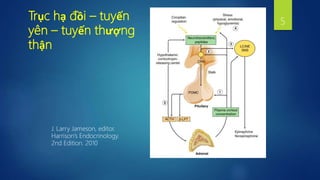 Trục hạ đồi – tuyến
yên – tuyến thượng
thận
J. Larry Jameson, editor.
Harrison’s Endocrinology.
2nd Edition. 2010
5
 