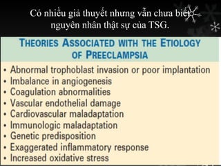 Có nhiều giả thuyết nhƣng vẫn chƣa biết
nguyên nhân thật sự của TSG.
 