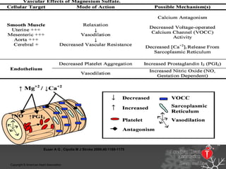 Figure 1. Vascular effects of magnesium sulfate.
Euser A G , Cipolla M J Stroke 2009;40:1169-1175
Copyright © American Heart Association
 