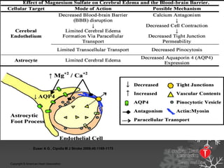 Figure 2. Effect of magnesium sulfate on cerebral edema and the blood-brain barrier.
Euser A G , Cipolla M J Stroke 2009;40:1169-1175
Copyright © American Heart Association
 