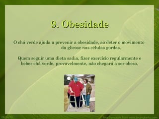 9. Obesidade 08/24/10 Free Template from www.brainybetty.com O chá verde ajuda a prevenir a obesidade, ao deter o movimento  da glicose nas células gordas. Quem seguir uma dieta sadia, fizer exercício regularmente e beber chá verde, provavelmente, não chegará a ser obeso. 