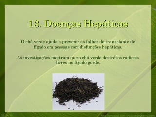 13. Doenças Hepáticas 08/24/10 Free Template from www.brainybetty.com O chá verde ajuda a prevenir as falhas de transplante de fígado em pessoas com disfunções hepáticas. As investigações mostram que o chá verde destrói os radicais livres no fígado gordo. 