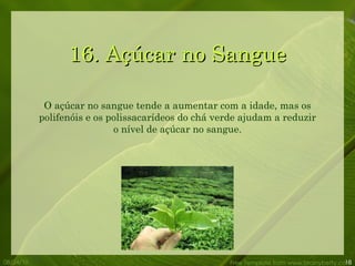 16. Açúcar no Sangue 08/24/10 Free Template from www.brainybetty.com O açúcar no sangue tende a aumentar com a idade, mas os polifenóis e os polissacarídeos do chá verde ajudam a reduzir o nível de açúcar no sangue. 