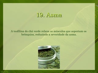 19. Asma 08/24/10 Free Template from www.brainybetty.com A teofilina do chá verde relaxa os músculos que soportam os  brônquios, reduzindo a severidade da asma. 