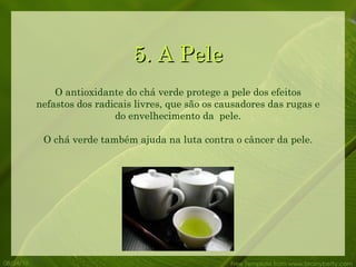 5. A Pele 08/24/10 Free Template from www.brainybetty.com O antioxidante do chá verde protege a pele dos efeitos nefastos dos radicais livres, que são os causadores das rugas e do envelhecimento da  pele. O chá verde também ajuda na luta contra o câncer da pele. 