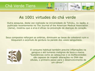 As 1001 virtudes do chá verde Outra pesquisa, desta vez realizada na Universidade de Tohoku, no Japão, e publicada recentemente no The Journal of the American Medical Association (Jama), mostrou que a erva é eficaz na prevenção de doenças do coração.  Seus compostos reforçam as artérias, diminuem as taxas de colesterol ruim e bloqueiam o acúmulo de gordura na parede dos vasos sanguíneos.  O consumo habitual também previne inflamações na gengiva e até tumores malignos de boca e mama. “Substâncias como as catequinas e os bioflavonóides são capazes de impedir alterações no DNA das células, o primeiro passo para o desenvolvimento de um câncer”.  Chá Verde Tiens 