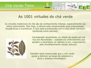 As 1001 virtudes do chá verde Considerado atualmente um aliado da saúde por ser rico em flavonóides - substâncias antioxidantes que ajudam a neutralizar os radicais livres, responsáveis pelo envelhecimento celular precoce.  As virtudes medicinais do chá são de conhecimento milenar, especialmente seu efeito estimulante. Mas hoje, a ciência está comprovando suas propriedades terapêuticas e cosméticas. E isso está acontecendo com o chá verde (também conhecido como banchá). Também está comprovado que o chá verde ajuda a diminuir as taxas de colesterol e ativa o sistema imunológico.  Chá Verde Tiens 