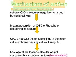 cationic CHX molecule+ negatively charged
bacterial cell wall
Instant adsorption of CHX to Phosphate
containing compounds
CHX binds with the phospholipids in the inner
cell membrane causing cell wall integrity
Leakage of the lesser molecular weight
components viz. potassium ions(bacteriostatic)
 