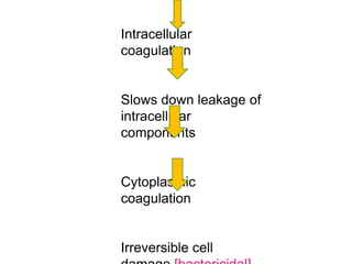 Intracellular
coagulation
Slows down leakage of
intracellular
components
Cytoplasmic
coagulation
Irreversible cell
 
