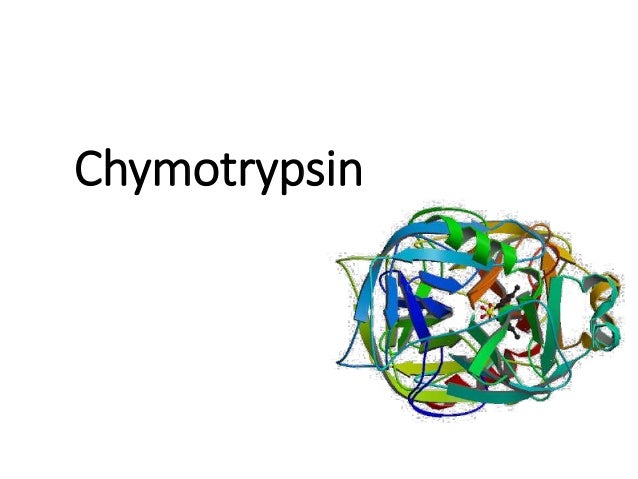 Chymotrypsin Serine Protease Mechanism        Chymotrypsin Serine Protease Mechanism