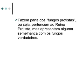  Fazem parte dos "fungos protistas",
ou seja, pertencem ao Reino
Protista, mas apresentam alguma
semelhança com os fungos
verdadeiros.
 