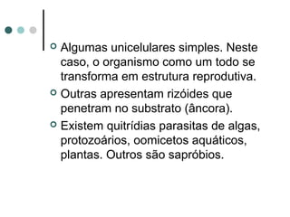  Algumas unicelulares simples. Neste
caso, o organismo como um todo se
transforma em estrutura reprodutiva.
 Outras apresentam rizóides que
penetram no substrato (âncora).
 Existem quitrídias parasitas de algas,
protozoários, oomicetos aquáticos,
plantas. Outros são sapróbios.
 