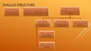 THALLUS STRUCTURE
Generally the biotropic
parasite have Holocarpic
thalli, but usually they
have Eucarpic thalli.
The former is that type of thallus where the
whole thallus is contained within a single
cell and there is no differentiation between
the vegetative and reproductive structures
The latter Eucarpic thalli, are
differentiated into a reproductive
and vegetative parts- Sporangia
and Rhizoids.
If one sporangia-
monocentric; here
rhizoids radiate from a
single portion
Epibiotic- rhizoids inside
the host cell and
sporangia outside
Endobiotic- both rhizoids
and sporangia inside the
host cell
If many sporangia-
polycentric; here rhizoids
are branched, forming
Rhizomycelium
Some species shows both
mono- and poly- centric
characters.
 