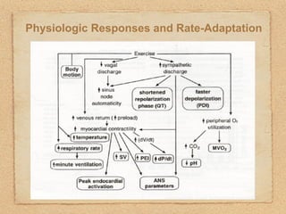 Chronotropic Incompetence | KEY