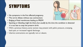 SYMPTOMS
• No symptoms in the first affected pregnancy.
• The cervix dilates without any contractions
• Bulging of fetal membranes leading to PROM
• Spotting or bleeding might be there, but usually by the time the condition is detected
it is too late to stop the preterm birth.
• With a previous history, some women may present with pelvic pressure, cramping,
back pain, or increased vaginal discharge.
• Uterine contractions are typically rare or absent.
 