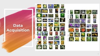 Keras CNN Pre-trained Deep Learning models for Flower Recognition | PPTX