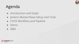 Agenda
● Introduction and Goals
● Jenkins Master/Slave Setup and Tools
● CI/CD Workflow and Pipeline
● Demo
● Q&A
 