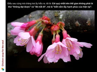 Điều sau cùng mà chàng trai ấy hiểu ra, đó là:  Cái quý nhất trên thế gian không phải là thứ "không đạt được" và "đã mất đi", mà là "biết nắm lấy hạnh phúc của hiện tại".  