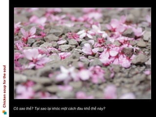 Cô sao thế? Tại sao lại khóc một cách đau khổ thế này? 