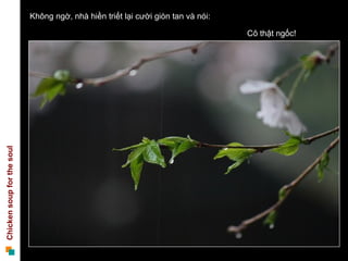 Không ngờ, nhà hiền triết lại cười giòn tan và nói:  Cô thật ngốc! 