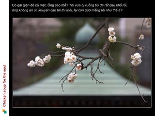 Cô gái giận đỏ cả mặt:  Ông sao thế? Tôi vừa bị ruồng bỏ đã rất đau khổ rồi,  ông không an ủi, khuyên can tôi thì thôi, lại còn quở mắng tôi như thế à?  