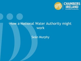 How a National Water Authority might work Seán Murphy 