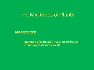 The Mysteries of Plants

Kindergarten

     Standard 2(c): Identify major structures of
     common plants and animals
 