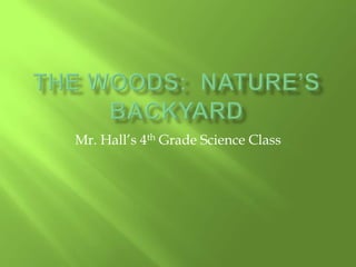 Mr. Hall’s 4th Grade Science Class

 