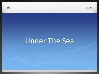 Under The Sea
 