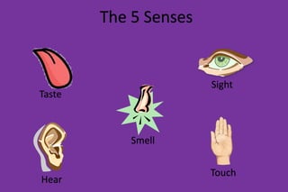 Sight
The 5 Senses
Taste
Hear
Touch
Smell
 