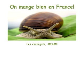 On mange bien en France! Les escargots, MIAM!! 