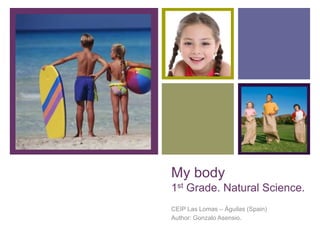 +
My body
1st Grade. Natural Science.
CEIP Las Lomas – Águilas (Spain)
Author: Gonzalo Asensio.
 