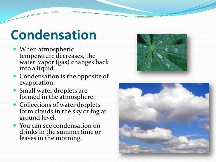 Water Cycle Presentation