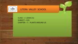 LITERA VALLEY SCHOOL
CLASS – 2 (2020-21)
SUBJECT – EVS
CHAPTER – 7 : PLANTS AROUND US
 