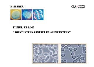 MISCAREA.
FILMUL, VA ROG!
“AGENT INTERN VANEAZA UN AGENT EXTERN”
 